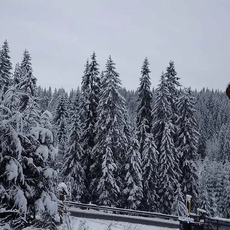 Mishel * Yablunytsya