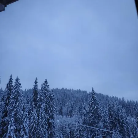 Mishel * Yablunytsya