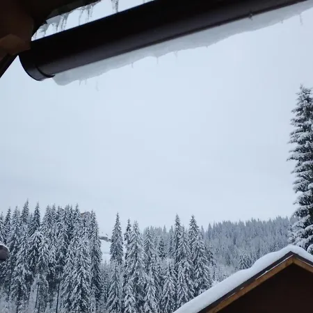 Appartamento Mishel *