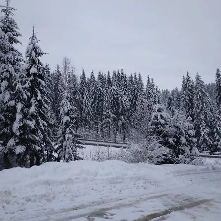 Mishel Appartamento Yablunytsya