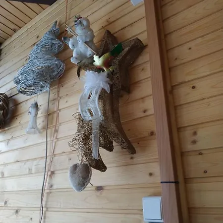 Mishel Яблоница