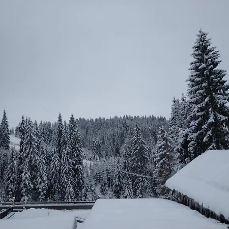 Mishel Appartamento Yablunytsya