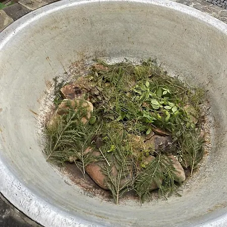 Mishel Appartamento Yablunytsya