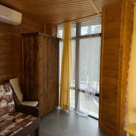 Mishel Яблоница