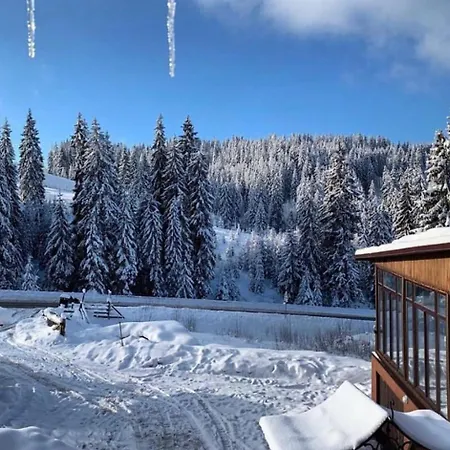 Mishel * Yablunytsya