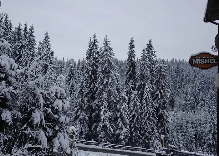 Mishel * Яблоница