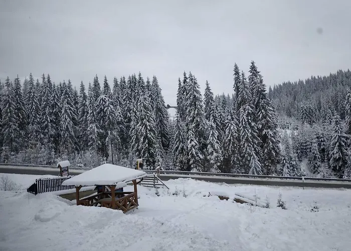 Mishel Апартаменты *